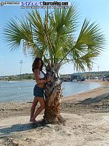 dryoff Show Images Page 10